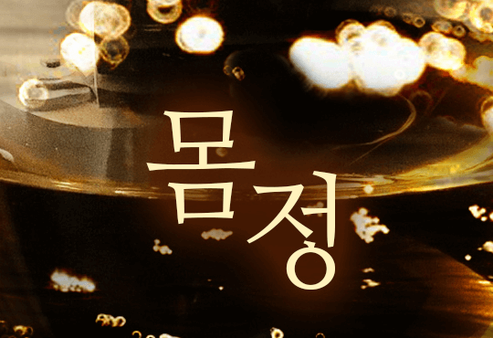 몸정