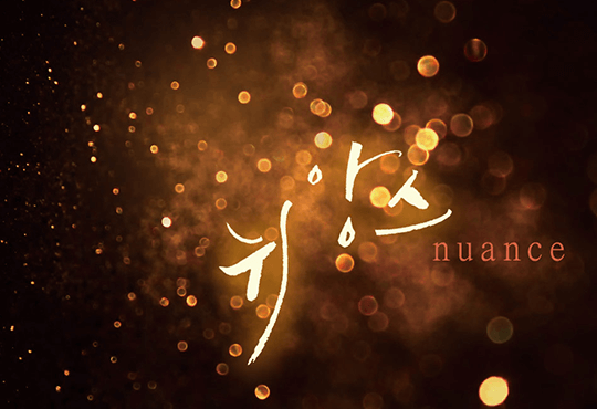 뉘앙스 [개정판]