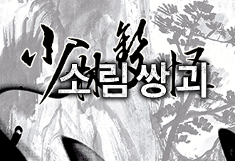 소림쌍괴 (개정판)