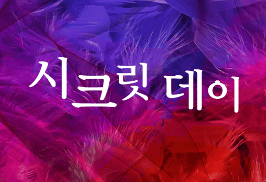 시크릿 데이