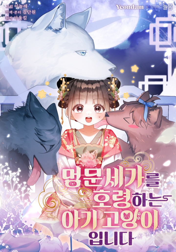 멍문세가를 호령하는 아기 고양이입니다