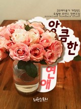 앙큼 이미지