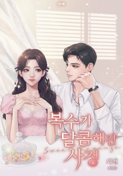 복수가 달콤해진 사정[외전 단행본][15세 개정판]
