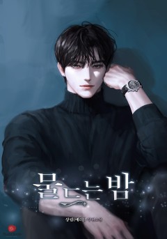 물드는 밤 [개정판]