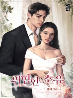 위험한 소유