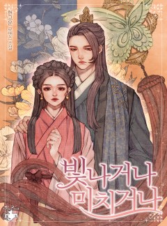 빛나거나 미치거나(드라마 원작)