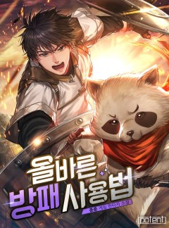 올바른 방패 사용법
