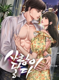 사랑이 닿다
