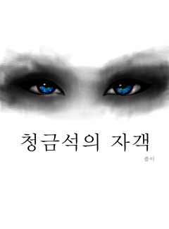 청금석의 자객