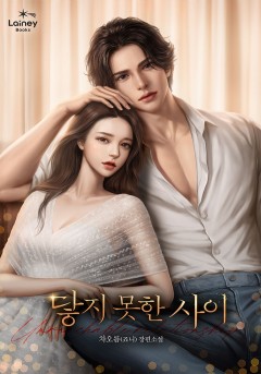 닿지 못한 사이