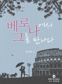 베로나에서 그를 만나다 [단행본]