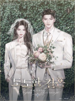 도도한 결혼 [단행본]
