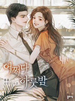 어쩌다 하룻밤