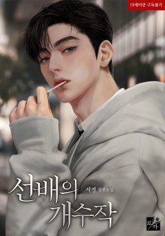 선배의 개수작