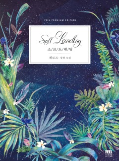 소프트 랜딩(Soft Landing)