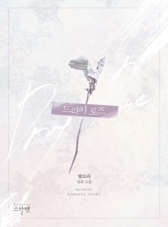 드라이 로즈(Dry Rose) [단독선공개]