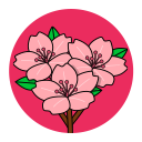 좌측 이미지