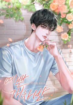 박로세