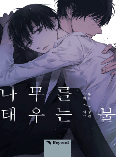나무를 태우는 불
