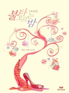 불타오르는 밤(개정판)