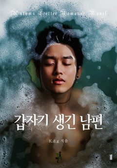 갑자기 생긴 남편 [단행본]