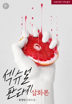 섹슈얼 판타지 (삽화본) [19세 완전판]