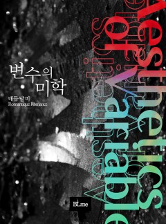 변수의 미학