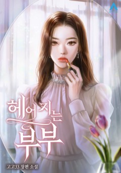 헤어지는 부부 [단행본]
