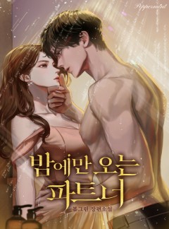 밤에만 오는 파트너