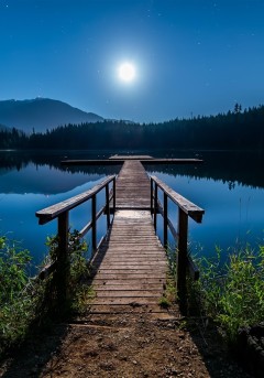 전역자의 재무장