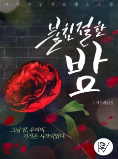 불친절한 밤