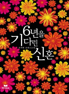 6년을 기다린 신혼
