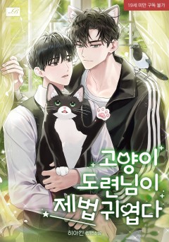 고양이 도련님이 제법 귀엽다