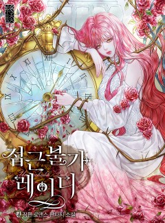 접근 불가 레이디