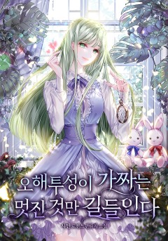 오해투성이 가짜는 멋진 것만 길들인다 외전 [단행본]