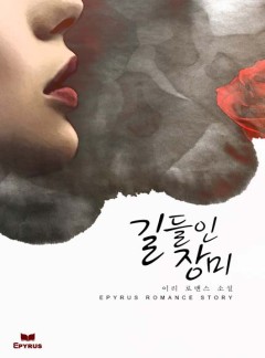 길들인 장미