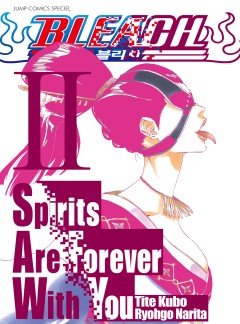블리치 Spirits Are Forever With You [단행본]