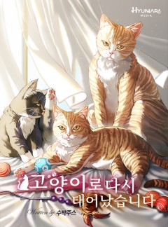 고양이로 다시 태어났습니다