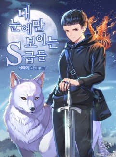 내 눈에만 보이는 S급들