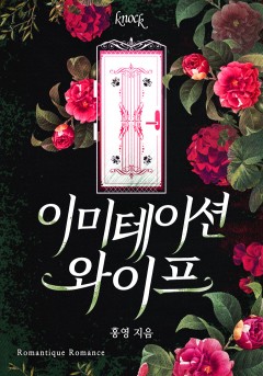 이미테이션 와이프
