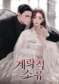 계략적 소유