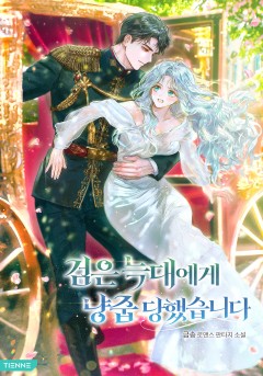 검은 늑대에게 냥줍 당했습니다