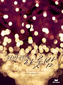 뒤바뀐 하룻밤