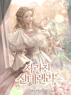 사라진 신데렐라