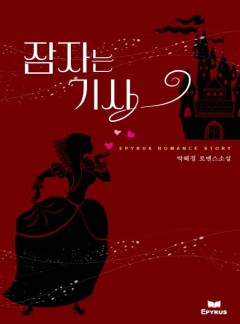 잠자는 기사