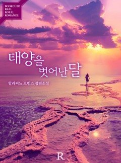 태양을 벗어난 달