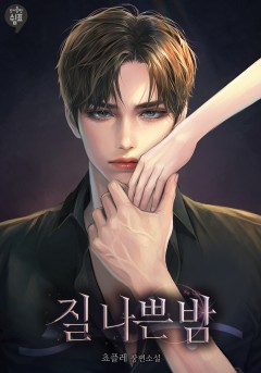 질 나쁜 밤 [단행본]