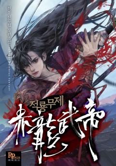 적룡무제