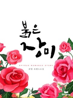 붉은 장미