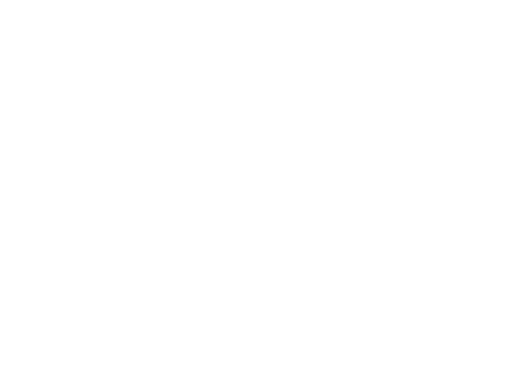 중도 빌라